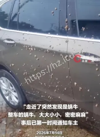 车辆爬满蜗牛